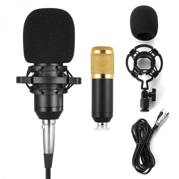 bm800-microphone